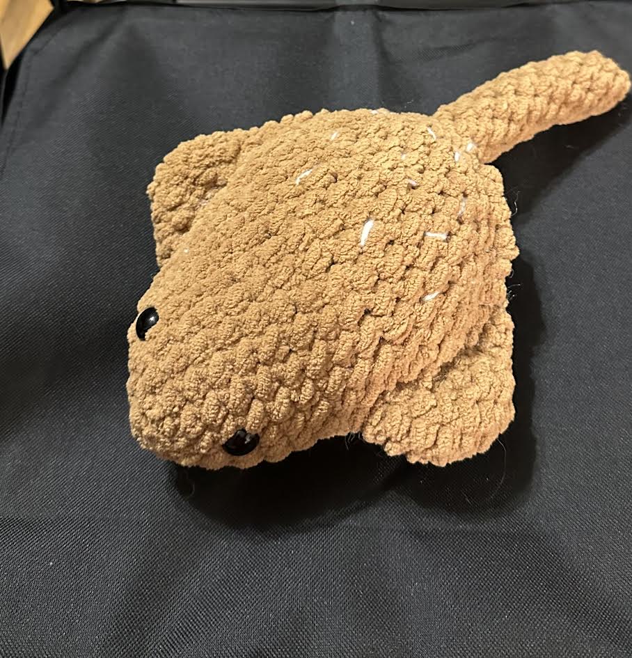 Brown stingray